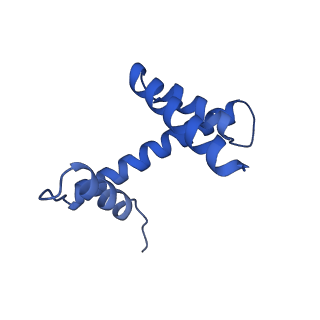 38228_8xbt_D_v1-0
The cryo-EM structure of the octameric RAD51 ring bound to the nucleosome with the linker DNA binding