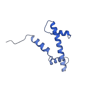 38228_8xbt_E_v1-0
The cryo-EM structure of the octameric RAD51 ring bound to the nucleosome with the linker DNA binding