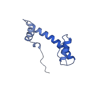 38228_8xbt_F_v1-0
The cryo-EM structure of the octameric RAD51 ring bound to the nucleosome with the linker DNA binding