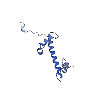 38228_8xbt_G_v1-0
The cryo-EM structure of the octameric RAD51 ring bound to the nucleosome with the linker DNA binding