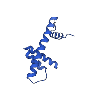 38228_8xbt_H_v1-0
The cryo-EM structure of the octameric RAD51 ring bound to the nucleosome with the linker DNA binding