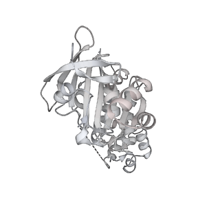 38228_8xbt_K_v1-0
The cryo-EM structure of the octameric RAD51 ring bound to the nucleosome with the linker DNA binding