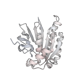 38228_8xbt_L_v1-0
The cryo-EM structure of the octameric RAD51 ring bound to the nucleosome with the linker DNA binding