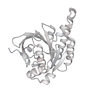 38228_8xbt_M_v1-0
The cryo-EM structure of the octameric RAD51 ring bound to the nucleosome with the linker DNA binding