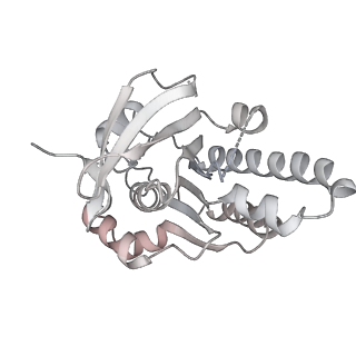 38228_8xbt_N_v1-0
The cryo-EM structure of the octameric RAD51 ring bound to the nucleosome with the linker DNA binding