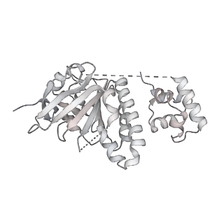 38228_8xbt_O_v1-0
The cryo-EM structure of the octameric RAD51 ring bound to the nucleosome with the linker DNA binding