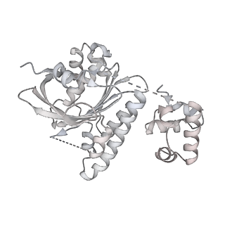 38228_8xbt_P_v1-0
The cryo-EM structure of the octameric RAD51 ring bound to the nucleosome with the linker DNA binding