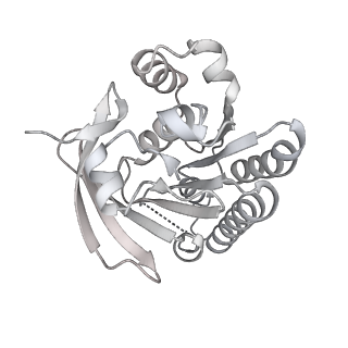 38228_8xbt_Q_v1-0
The cryo-EM structure of the octameric RAD51 ring bound to the nucleosome with the linker DNA binding