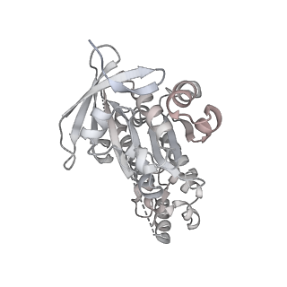 38228_8xbt_R_v1-0
The cryo-EM structure of the octameric RAD51 ring bound to the nucleosome with the linker DNA binding