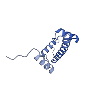 38229_8xbu_A_v1-0
The cryo-EM structure of the decameric RAD51 ring bound to the nucleosome with the linker DNA binding