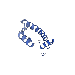 38229_8xbu_B_v1-0
The cryo-EM structure of the decameric RAD51 ring bound to the nucleosome with the linker DNA binding