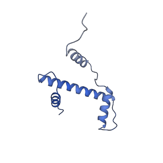 38229_8xbu_E_v1-0
The cryo-EM structure of the decameric RAD51 ring bound to the nucleosome with the linker DNA binding