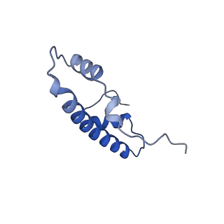 38229_8xbu_F_v1-0
The cryo-EM structure of the decameric RAD51 ring bound to the nucleosome with the linker DNA binding