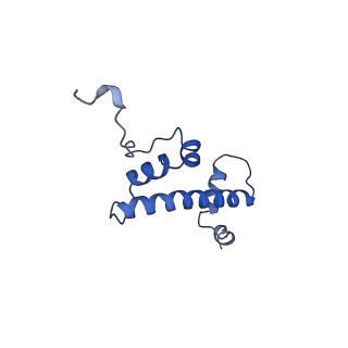 38229_8xbu_G_v1-0
The cryo-EM structure of the decameric RAD51 ring bound to the nucleosome with the linker DNA binding