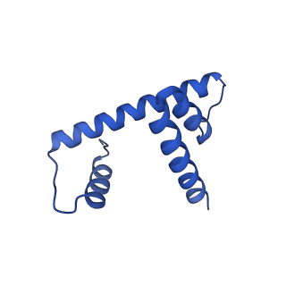 38229_8xbu_H_v1-0
The cryo-EM structure of the decameric RAD51 ring bound to the nucleosome with the linker DNA binding