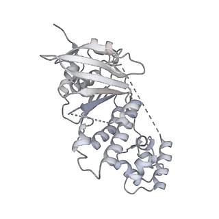 38229_8xbu_K_v1-0
The cryo-EM structure of the decameric RAD51 ring bound to the nucleosome with the linker DNA binding