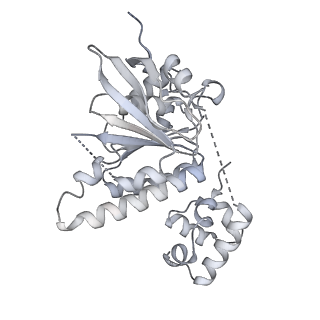 38229_8xbu_L_v1-0
The cryo-EM structure of the decameric RAD51 ring bound to the nucleosome with the linker DNA binding