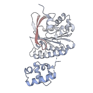 38229_8xbu_M_v1-0
The cryo-EM structure of the decameric RAD51 ring bound to the nucleosome with the linker DNA binding