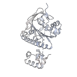 38229_8xbu_N_v1-0
The cryo-EM structure of the decameric RAD51 ring bound to the nucleosome with the linker DNA binding