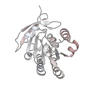 38229_8xbu_O_v1-0
The cryo-EM structure of the decameric RAD51 ring bound to the nucleosome with the linker DNA binding