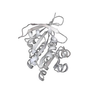 38229_8xbu_P_v1-0
The cryo-EM structure of the decameric RAD51 ring bound to the nucleosome with the linker DNA binding