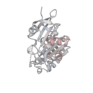 38229_8xbu_Q_v1-0
The cryo-EM structure of the decameric RAD51 ring bound to the nucleosome with the linker DNA binding