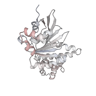 38229_8xbu_R_v1-0
The cryo-EM structure of the decameric RAD51 ring bound to the nucleosome with the linker DNA binding