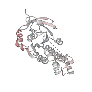 38229_8xbu_T_v1-0
The cryo-EM structure of the decameric RAD51 ring bound to the nucleosome with the linker DNA binding