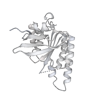 38232_8xbx_K_v1-0
The cryo-EM structure of the RAD51 L2 loop bound to the linker DNA with the blunt end of the nucleosome