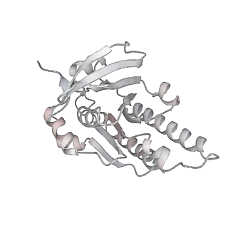 38232_8xbx_L_v1-0
The cryo-EM structure of the RAD51 L2 loop bound to the linker DNA with the blunt end of the nucleosome