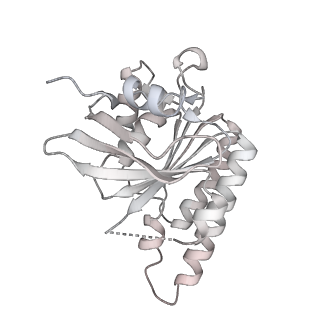 38232_8xbx_M_v1-0
The cryo-EM structure of the RAD51 L2 loop bound to the linker DNA with the blunt end of the nucleosome