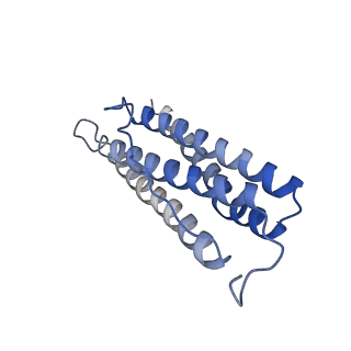 6714_5xb1_B_v1-2
human ferritin mutant - E-helix deletion