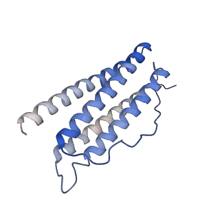 6714_5xb1_C_v1-3
human ferritin mutant - E-helix deletion