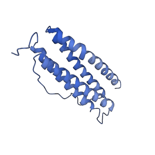 6714_5xb1_D_v1-3
human ferritin mutant - E-helix deletion