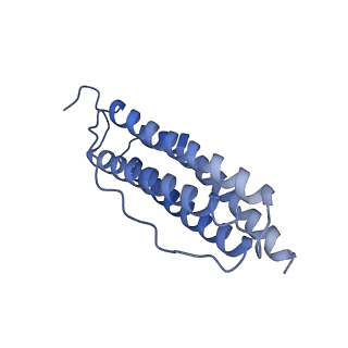 6714_5xb1_F_v1-2
human ferritin mutant - E-helix deletion