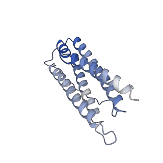 6714_5xb1_G_v1-3
human ferritin mutant - E-helix deletion