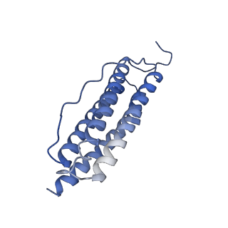 6714_5xb1_H_v1-3
human ferritin mutant - E-helix deletion