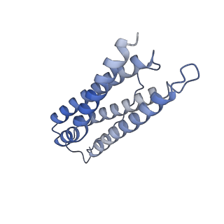 6714_5xb1_J_v1-3
human ferritin mutant - E-helix deletion