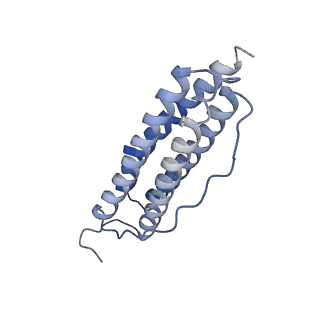 6714_5xb1_K_v1-3
human ferritin mutant - E-helix deletion