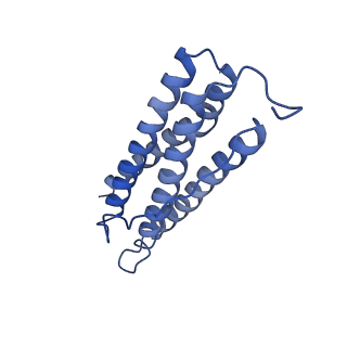 6714_5xb1_L_v1-3
human ferritin mutant - E-helix deletion