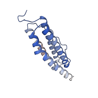 6714_5xb1_M_v1-3
human ferritin mutant - E-helix deletion