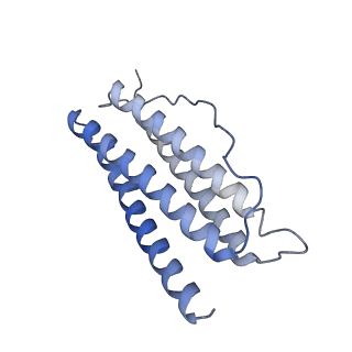 6714_5xb1_N_v1-3
human ferritin mutant - E-helix deletion