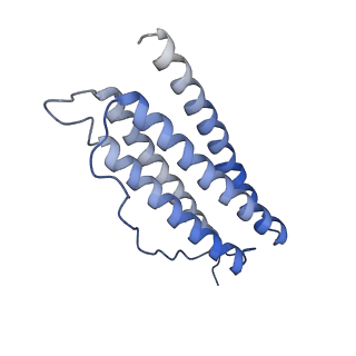 6714_5xb1_Q_v1-3
human ferritin mutant - E-helix deletion