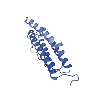 6714_5xb1_R_v1-3
human ferritin mutant - E-helix deletion