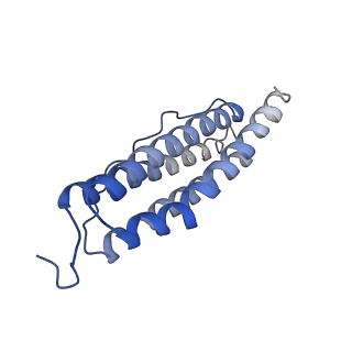 6714_5xb1_T_v1-2
human ferritin mutant - E-helix deletion