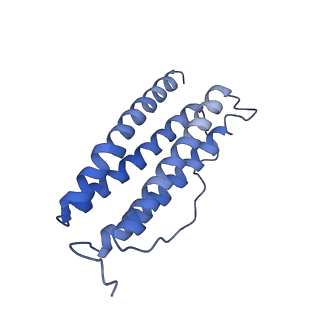 6714_5xb1_U_v1-3
human ferritin mutant - E-helix deletion