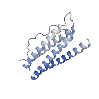 6714_5xb1_X_v1-3
human ferritin mutant - E-helix deletion