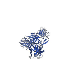 22128_6xcn_E_v1-1
Structure of the SARS-CoV-2 spike glycoprotein in complex with the C105 neutralizing antibody Fab fragment (state 2)