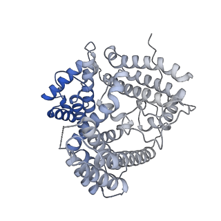33112_7xc2_B_v1-2
Cryo EM structure of oligomeric complex formed by wheat CNL Sr35 and the effector AvrSr35 of the wheat stem rust pathogen