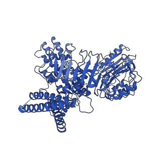 33112_7xc2_C_v1-2
Cryo EM structure of oligomeric complex formed by wheat CNL Sr35 and the effector AvrSr35 of the wheat stem rust pathogen